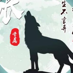 天份ZB海报