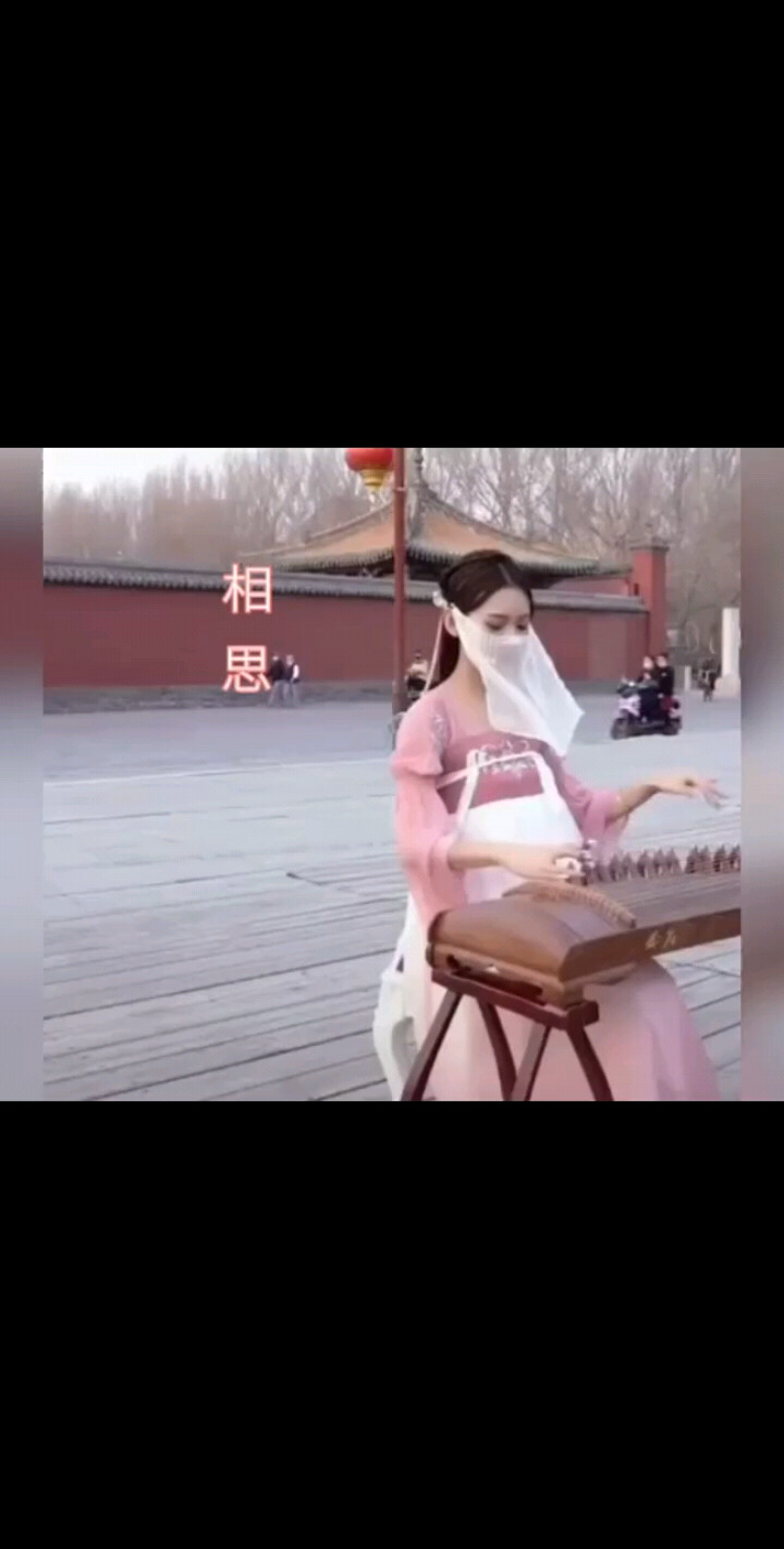 《相思》小姐姐与古筝@宝妈紫墨