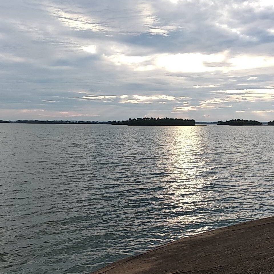 独自来游逛🎵海报