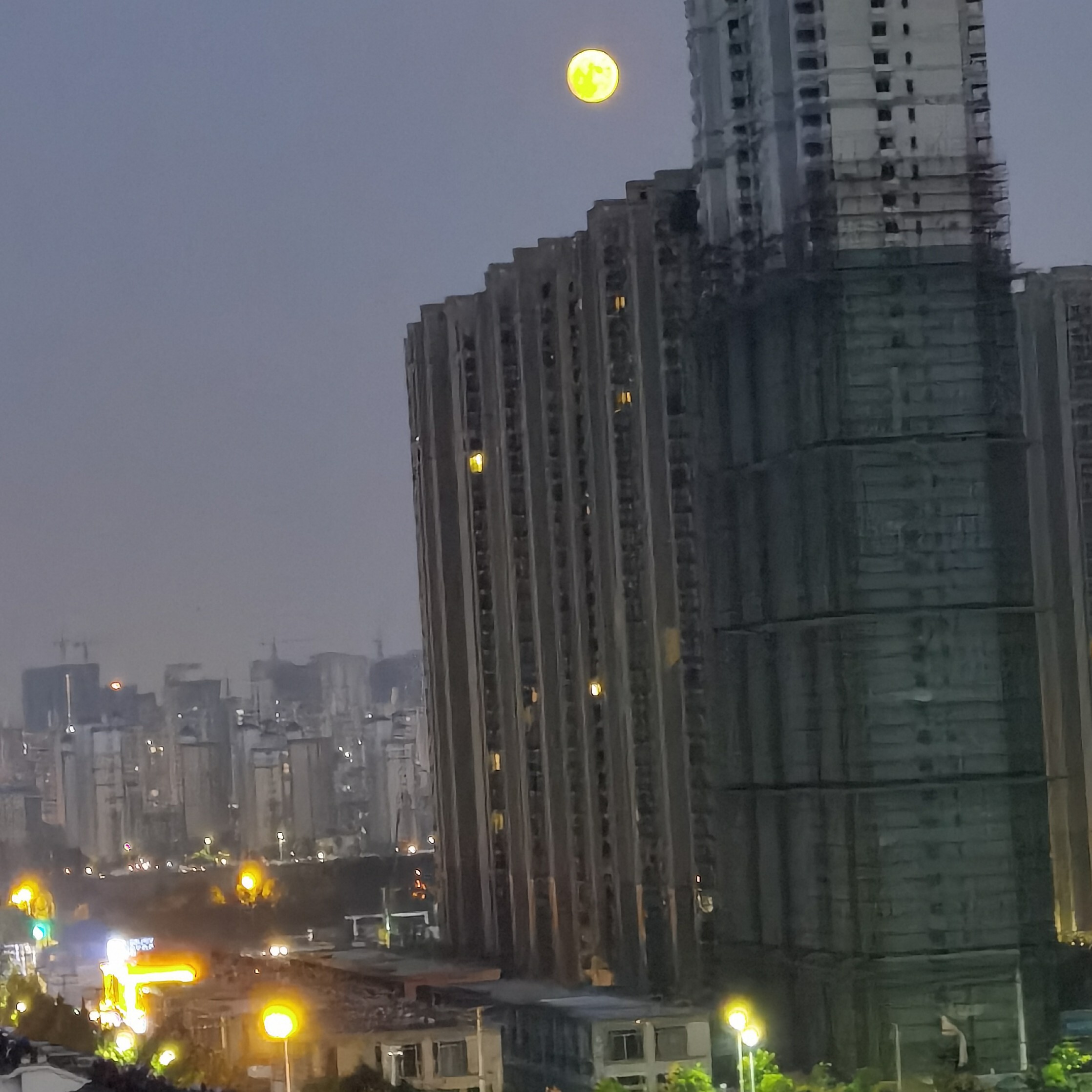 Sardineg海报