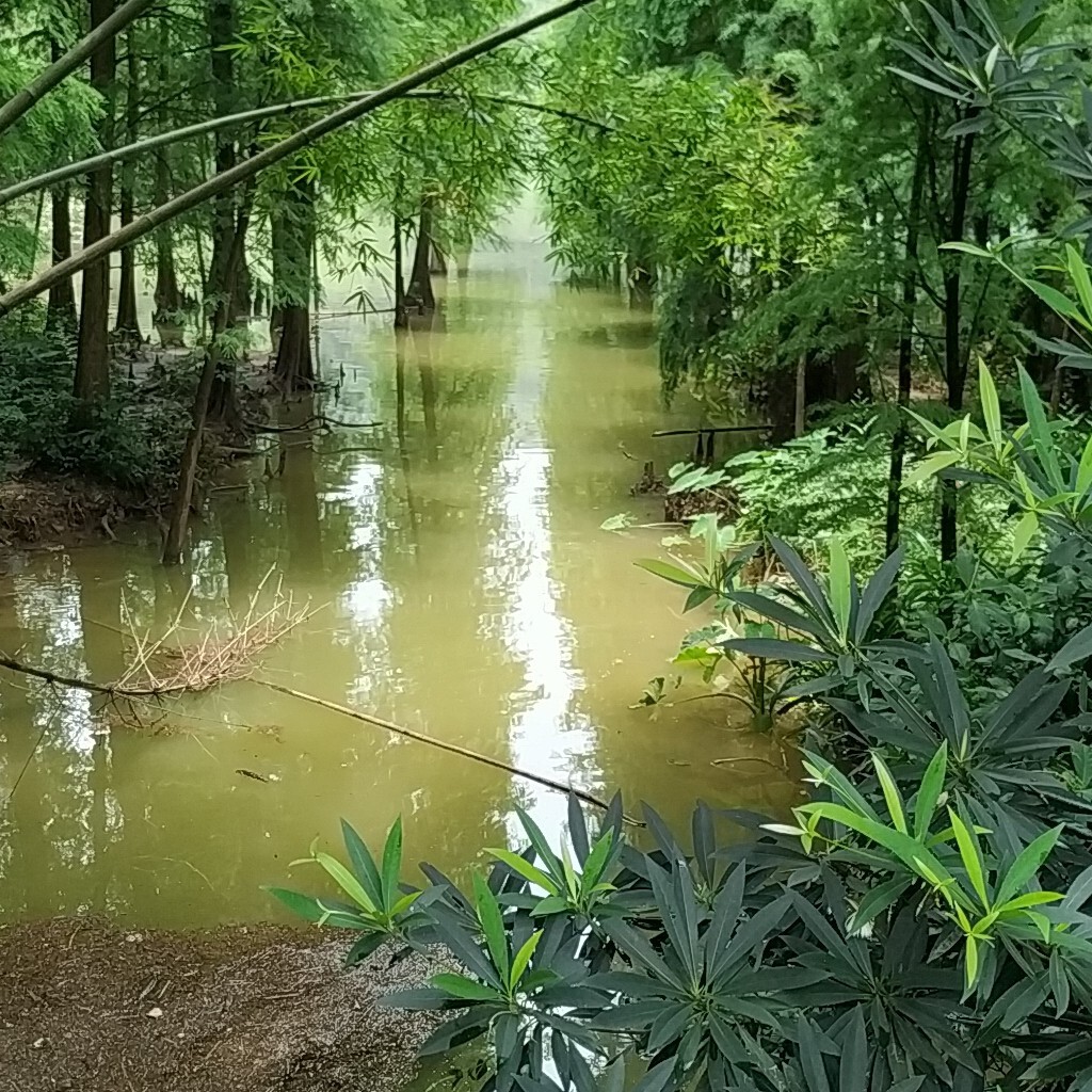 ♡兔朵币♡海报