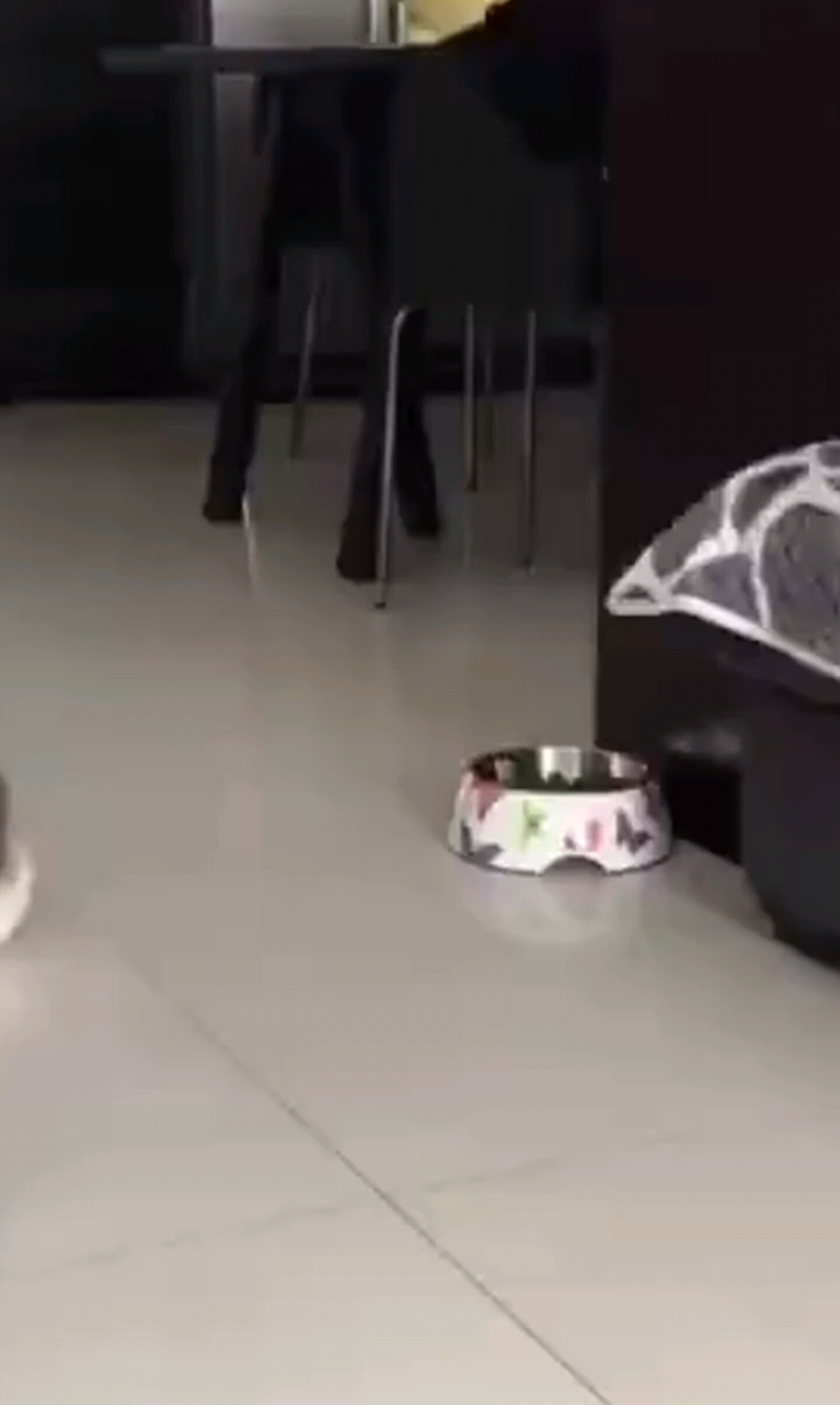 唠嗑
