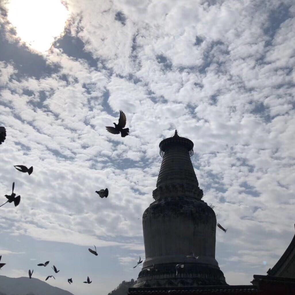 神经院院长海报