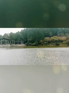 美女的地方，我的家鄉(xiāng)