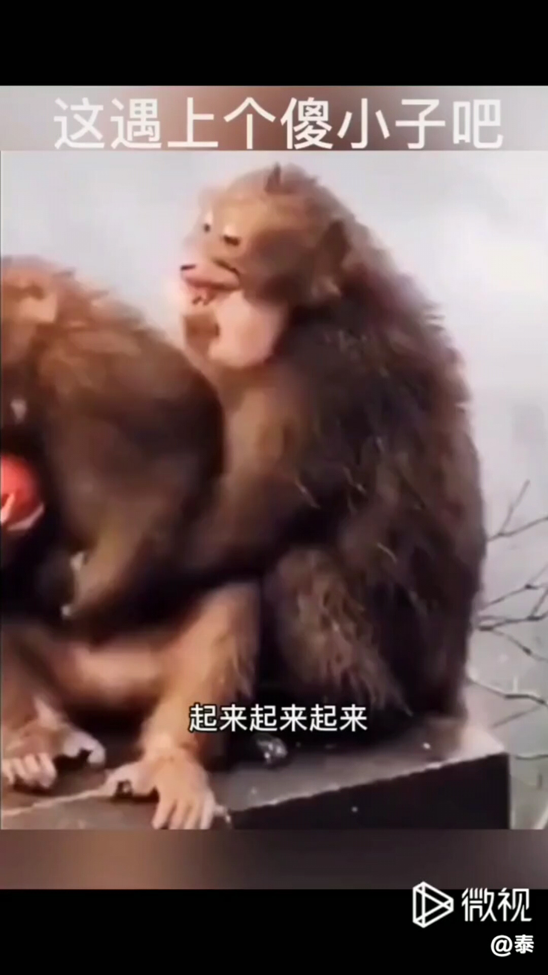 有过这样的感觉吗？