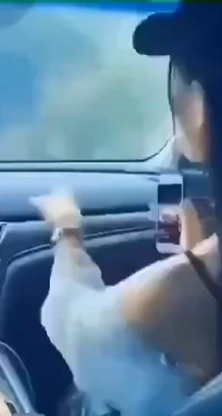 人生若只如初见，何事秋风悲画扇