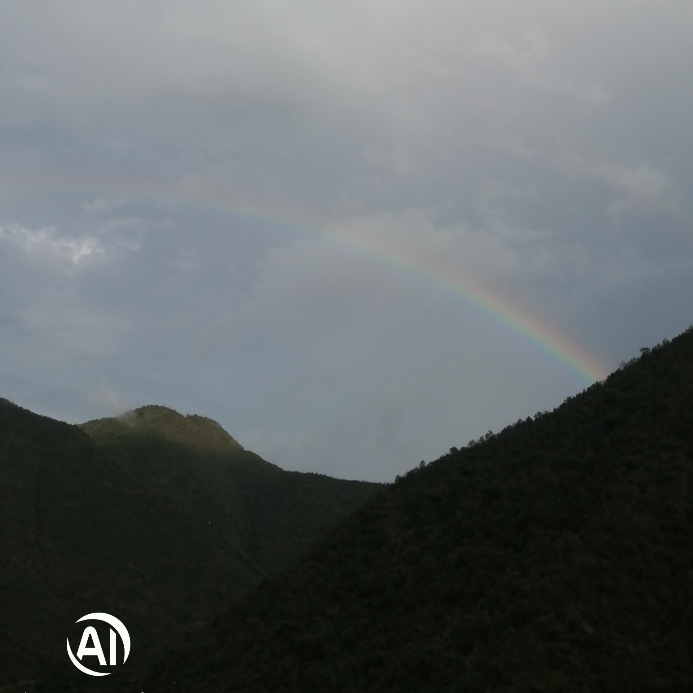 过烟客海报