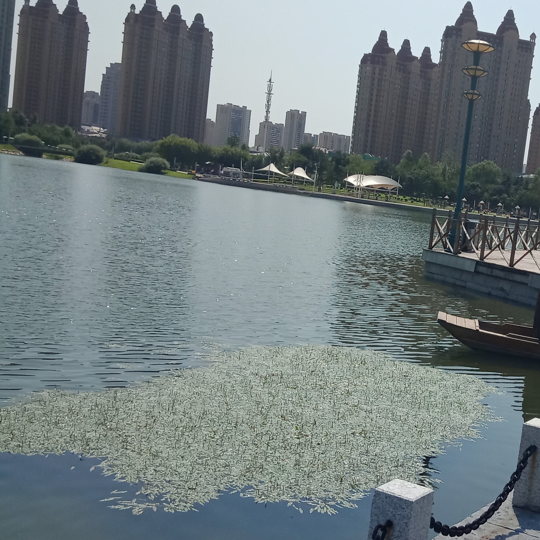w若水海报