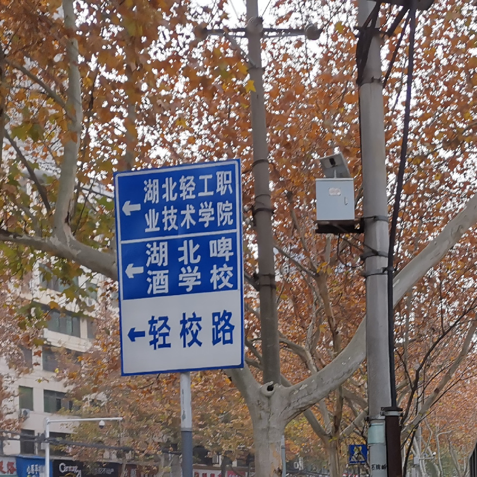 啥名字好听我不知道海报