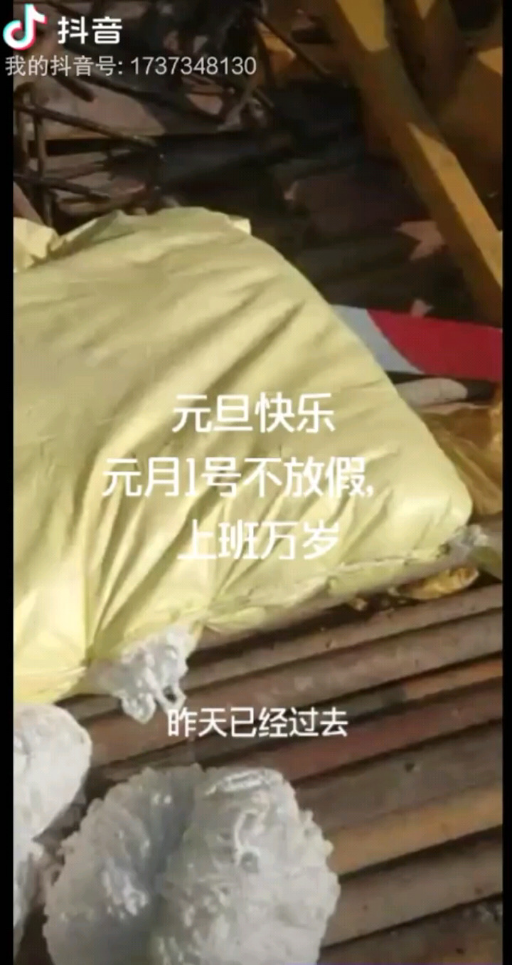 元旦快乐，元旦不放假，兄弟们辛