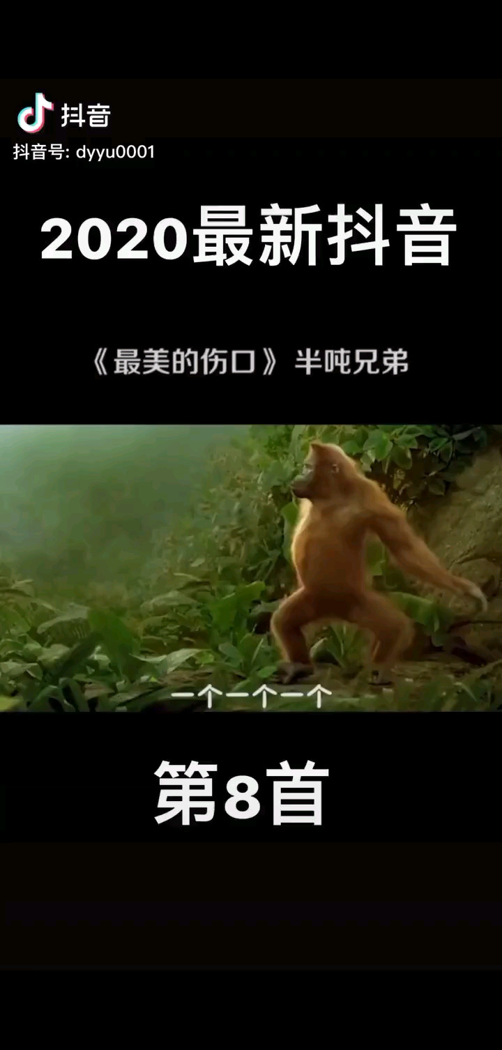 哈哈哈