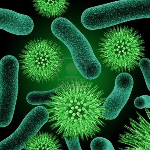 病毒碎片细菌感染死掉海报