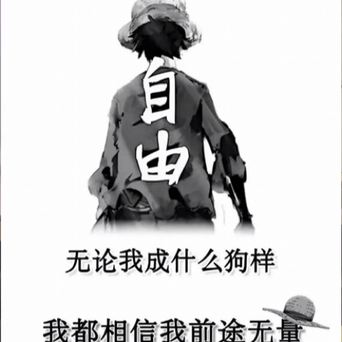 QT一叶知秋海报