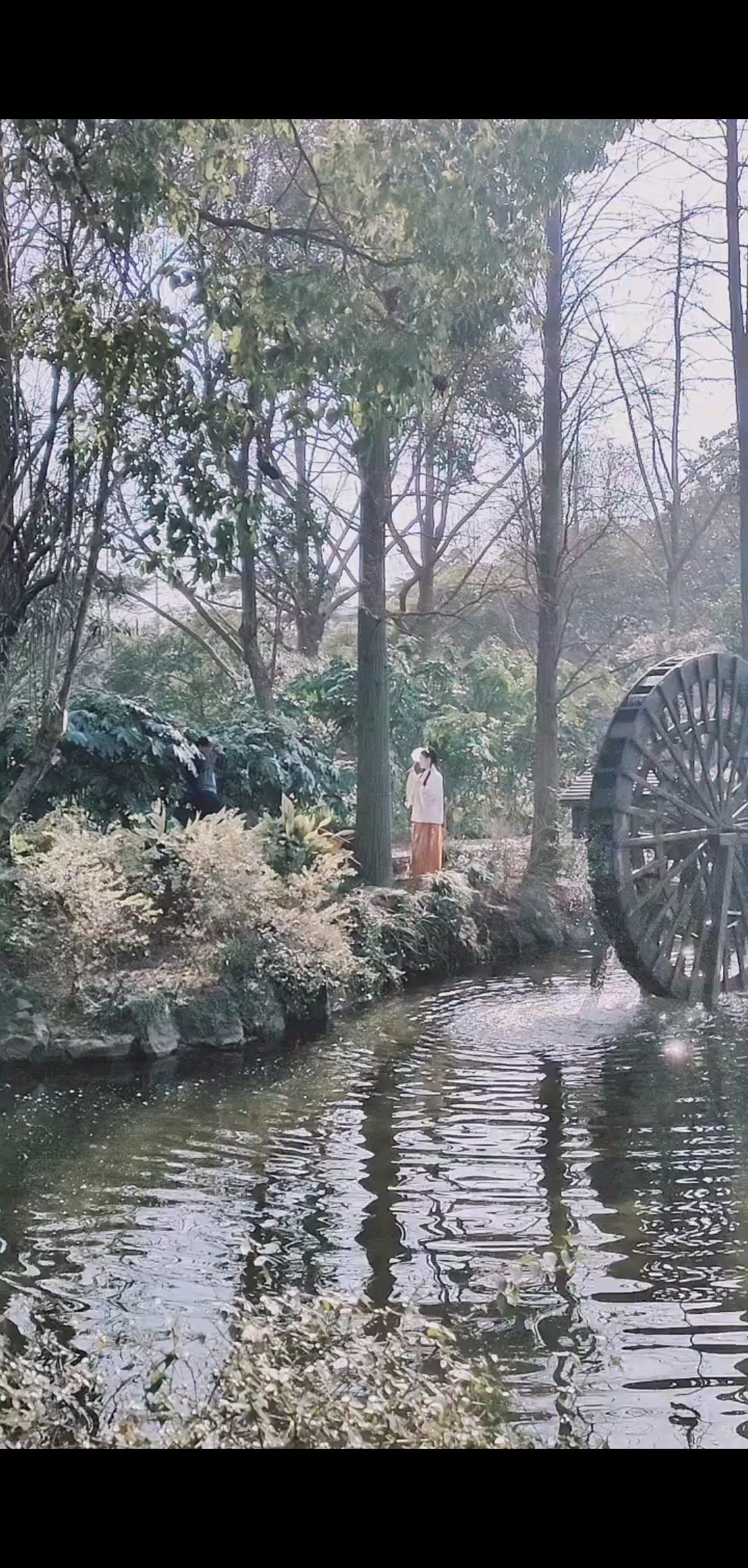 #贺新春，送祝福，与