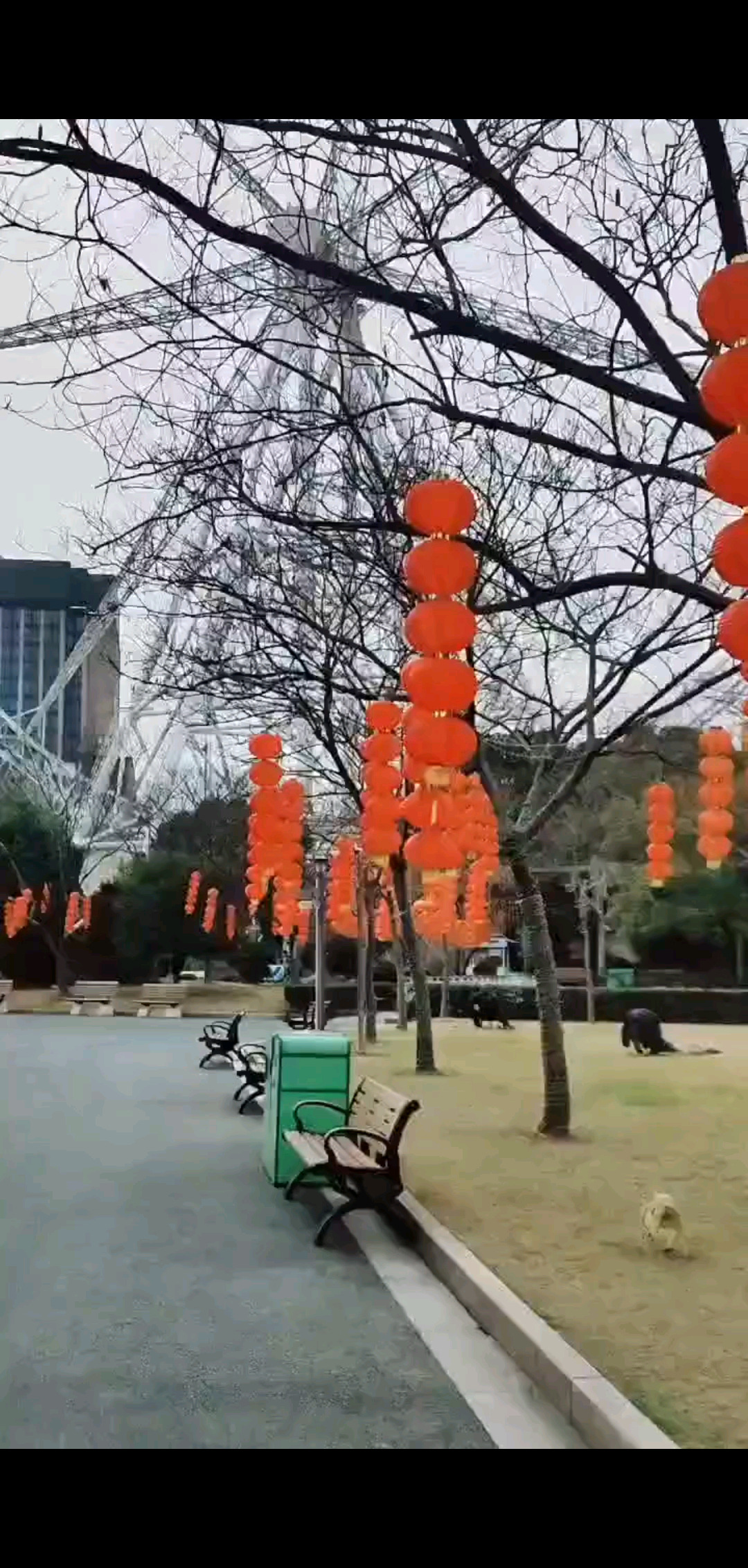 白天请假/美女/靓仔