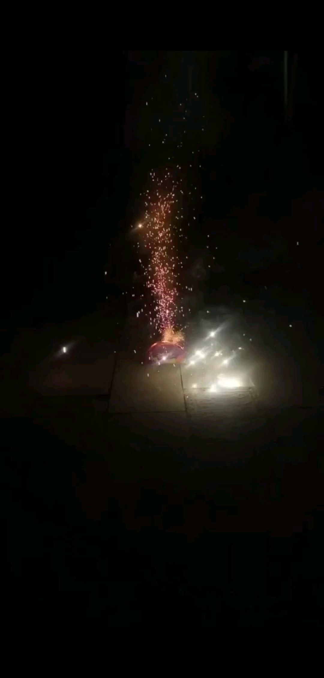 新年快乐，牛年大吉