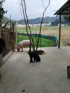 这次跳的表情很自然吧