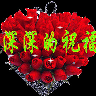 勿忘我4ov海报
