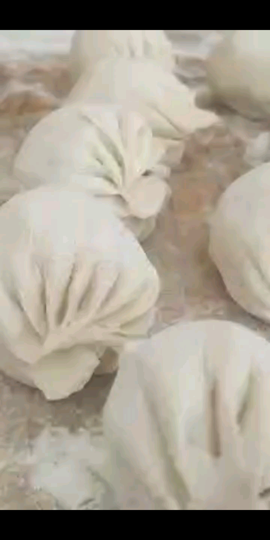复杂的人勒