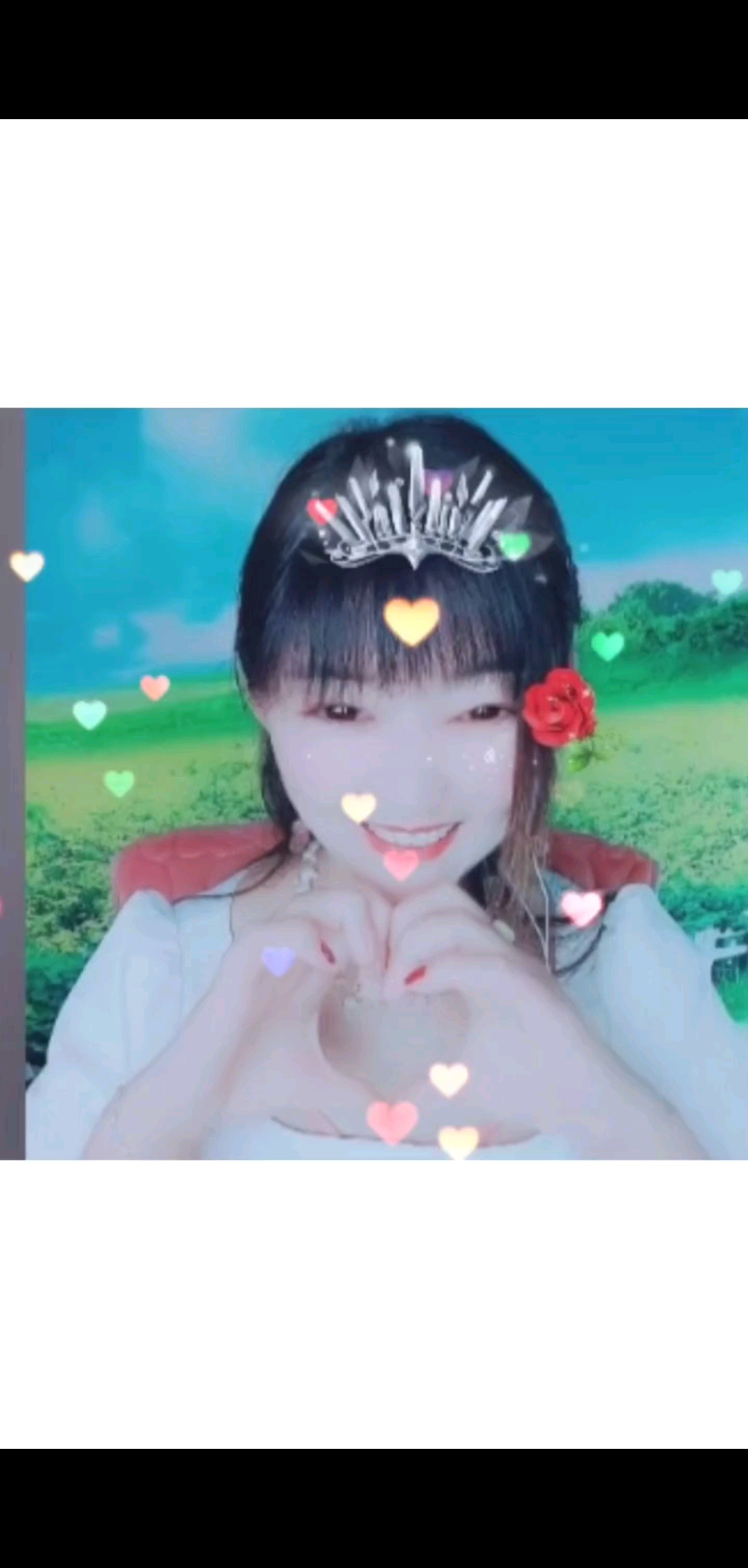 四月加油/狗狗/狗狗