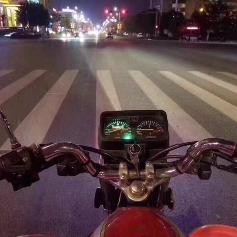 墨菲特提莫虎海报