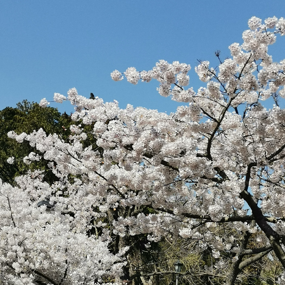 我没啥可说的海报