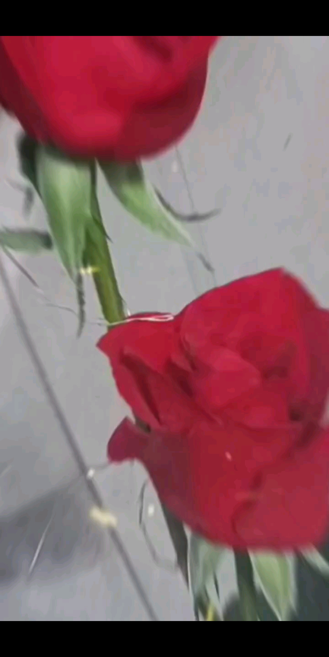 好想被人抱抱啊不带任