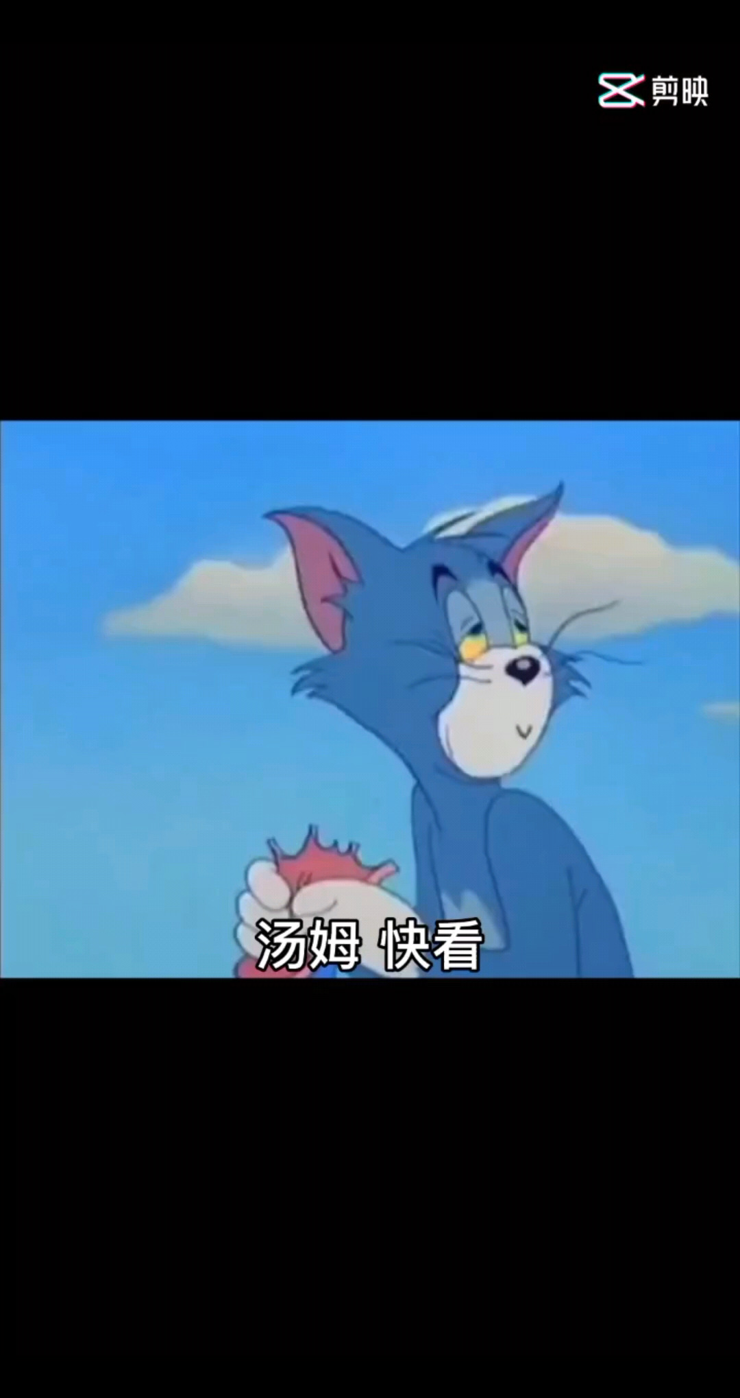 ✡