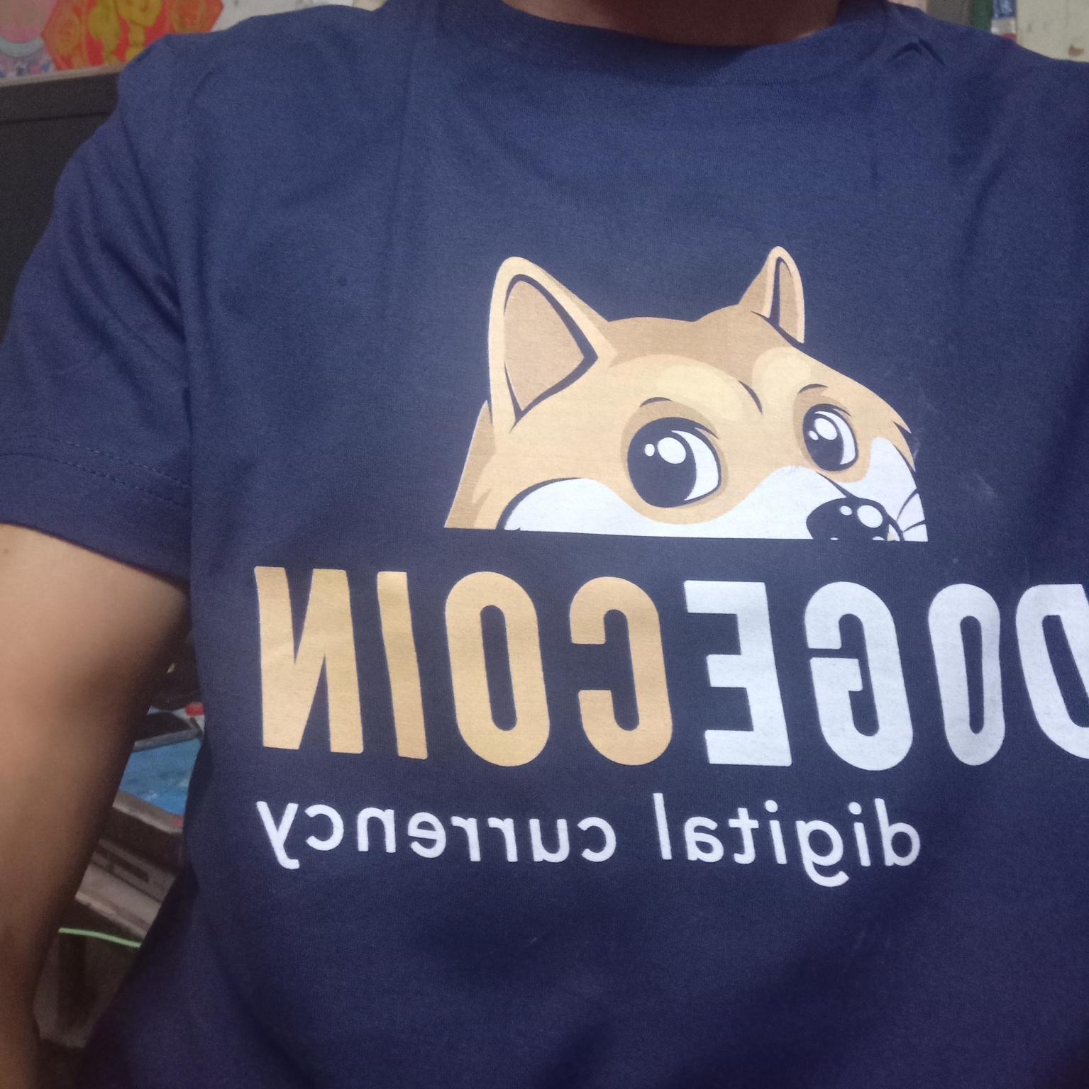 比特哥海报
