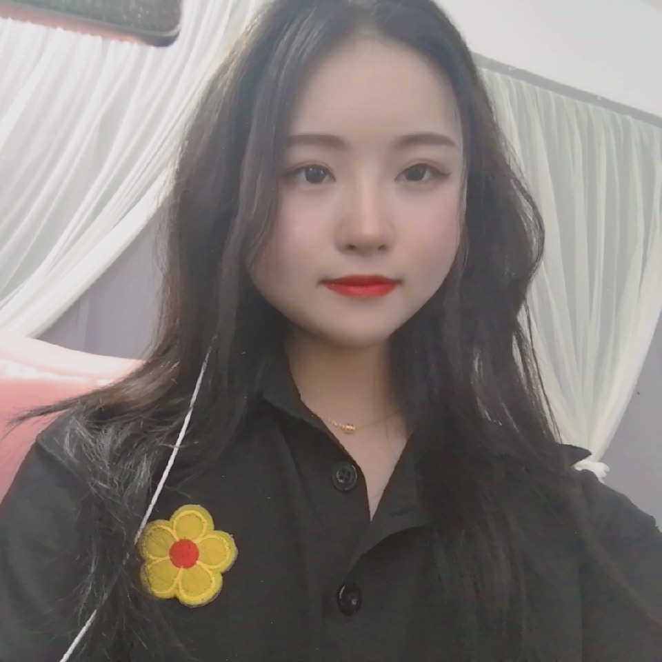 舒丽婷海报