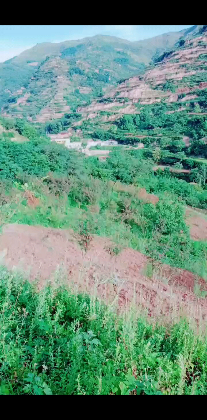 老家风景