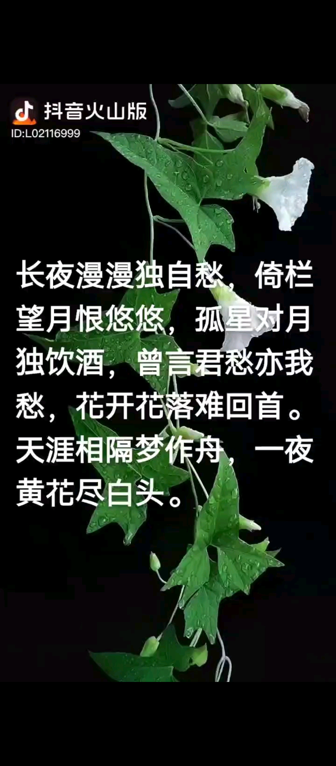 人与人之间，没有谁离