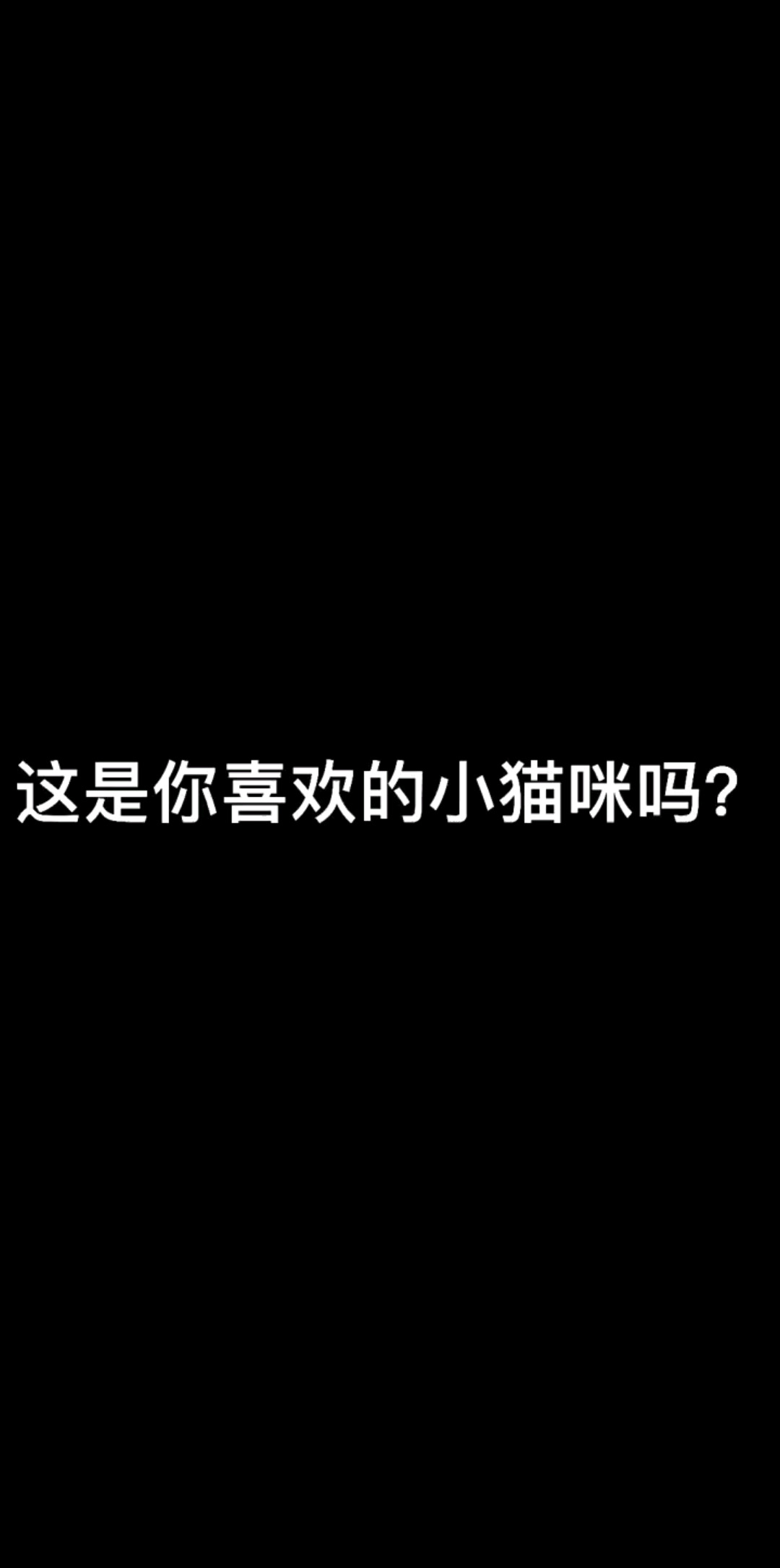 艿豆豆是你喜欢的小猫咪吗？