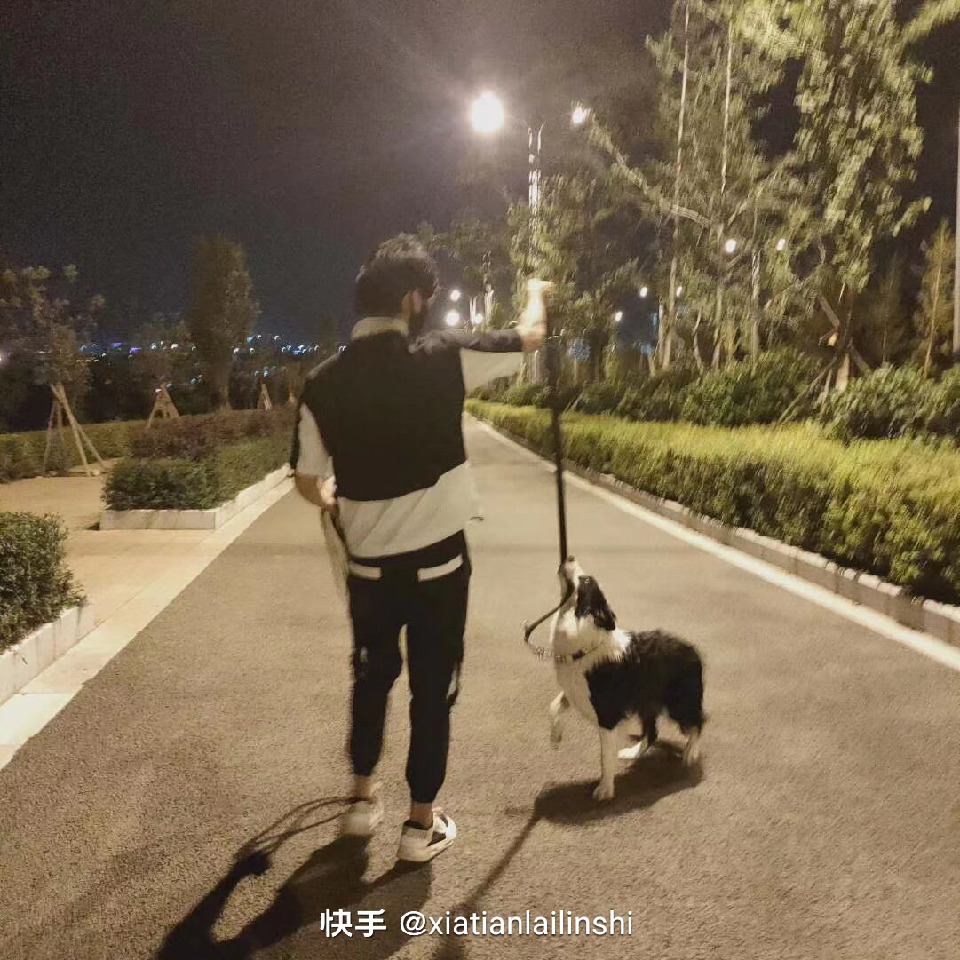 那就这样吧qvo海报