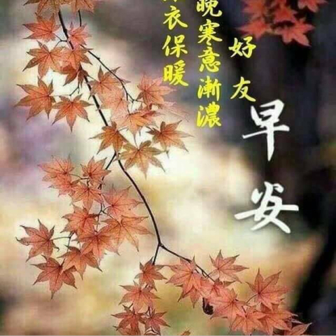 莫使惹尘埃.海报