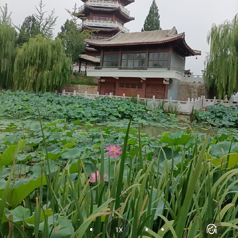 🌹霓虹灯闪烁海报