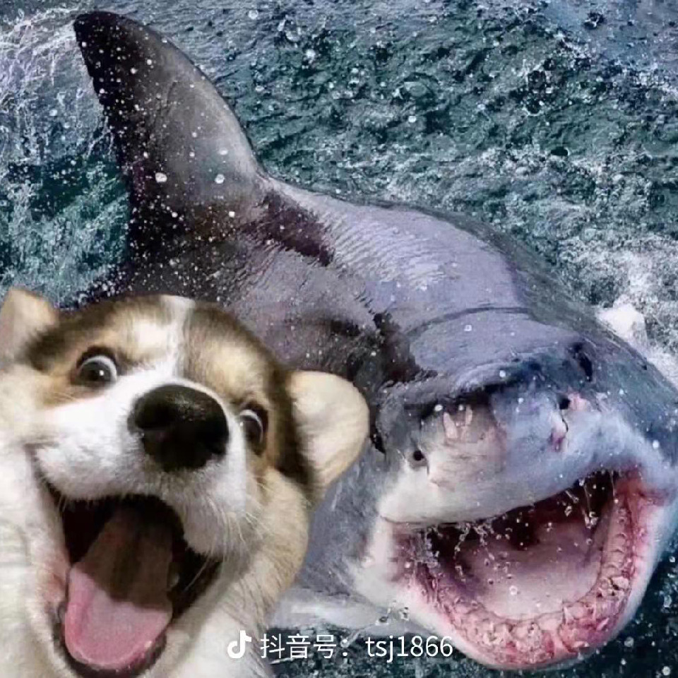 老公.老公.老公海报