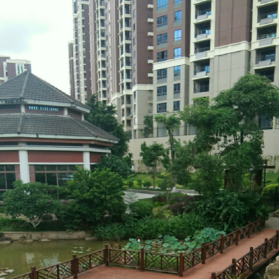 眼镜王蛇找鼠洞海报