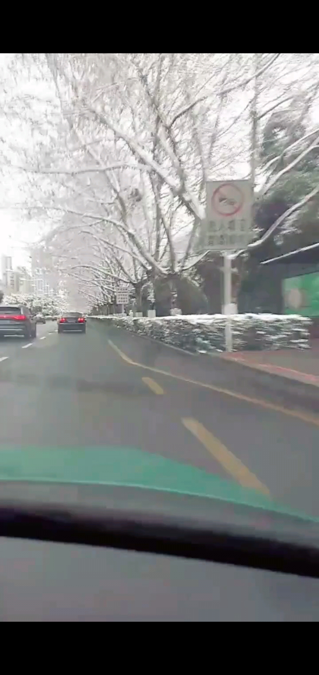 雪——♬
