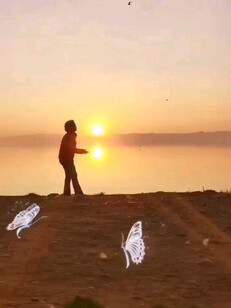 吐纳自由于夕阳中