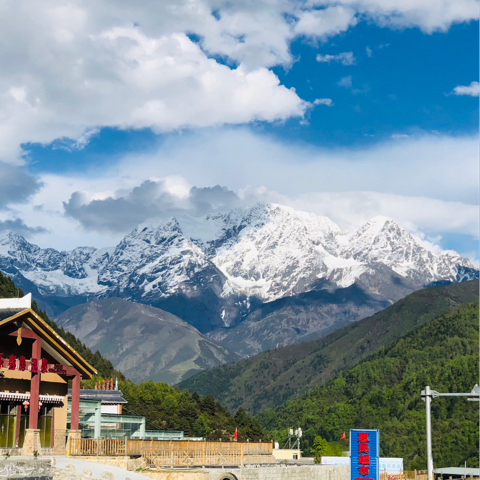 宝妹来了海报