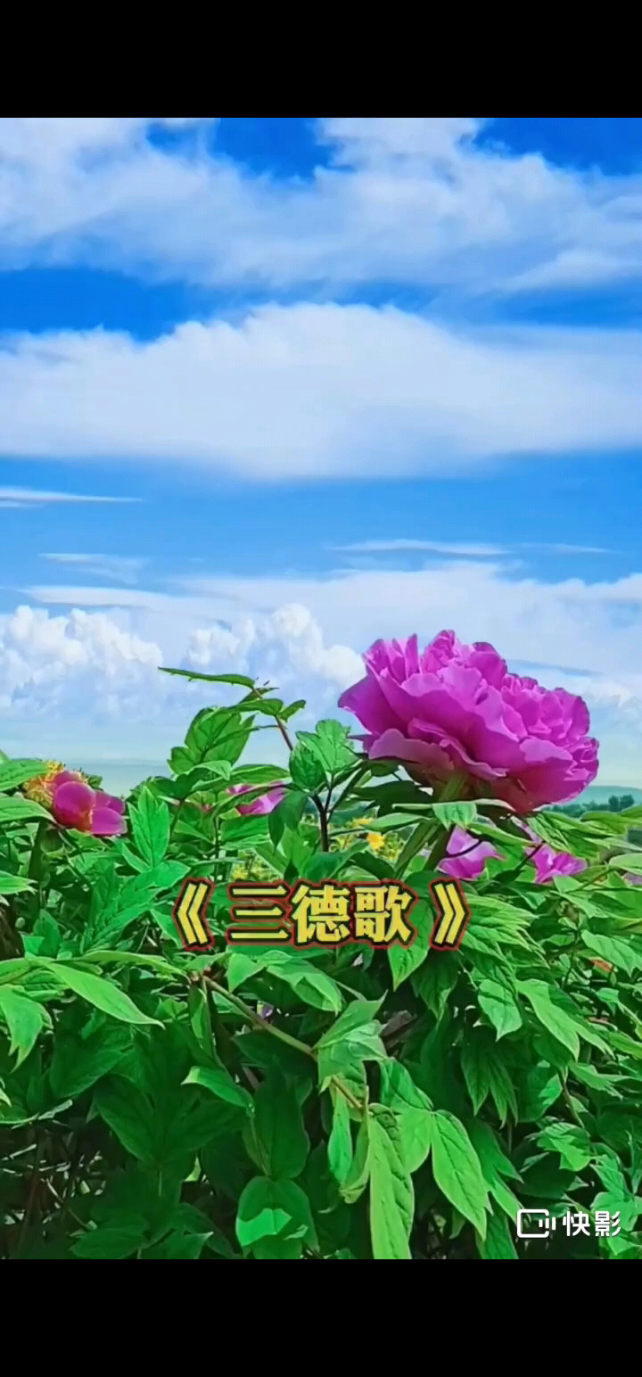 做人不能，忘恩负义，要懂得感恩