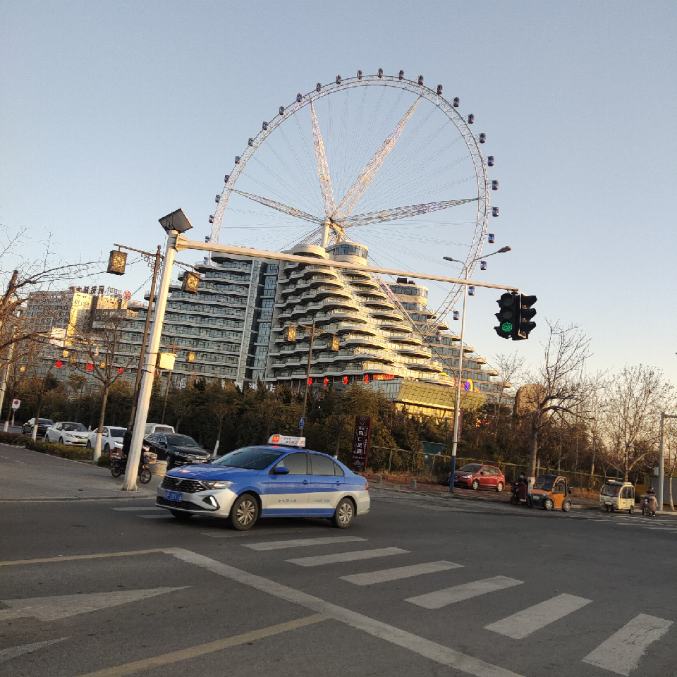 王振宠物销售海报