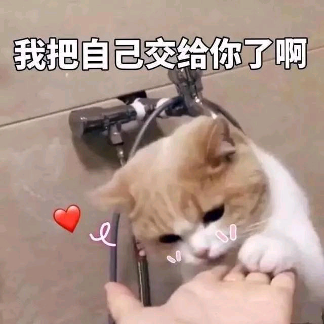 张❤️教❤️‍🔥主海报