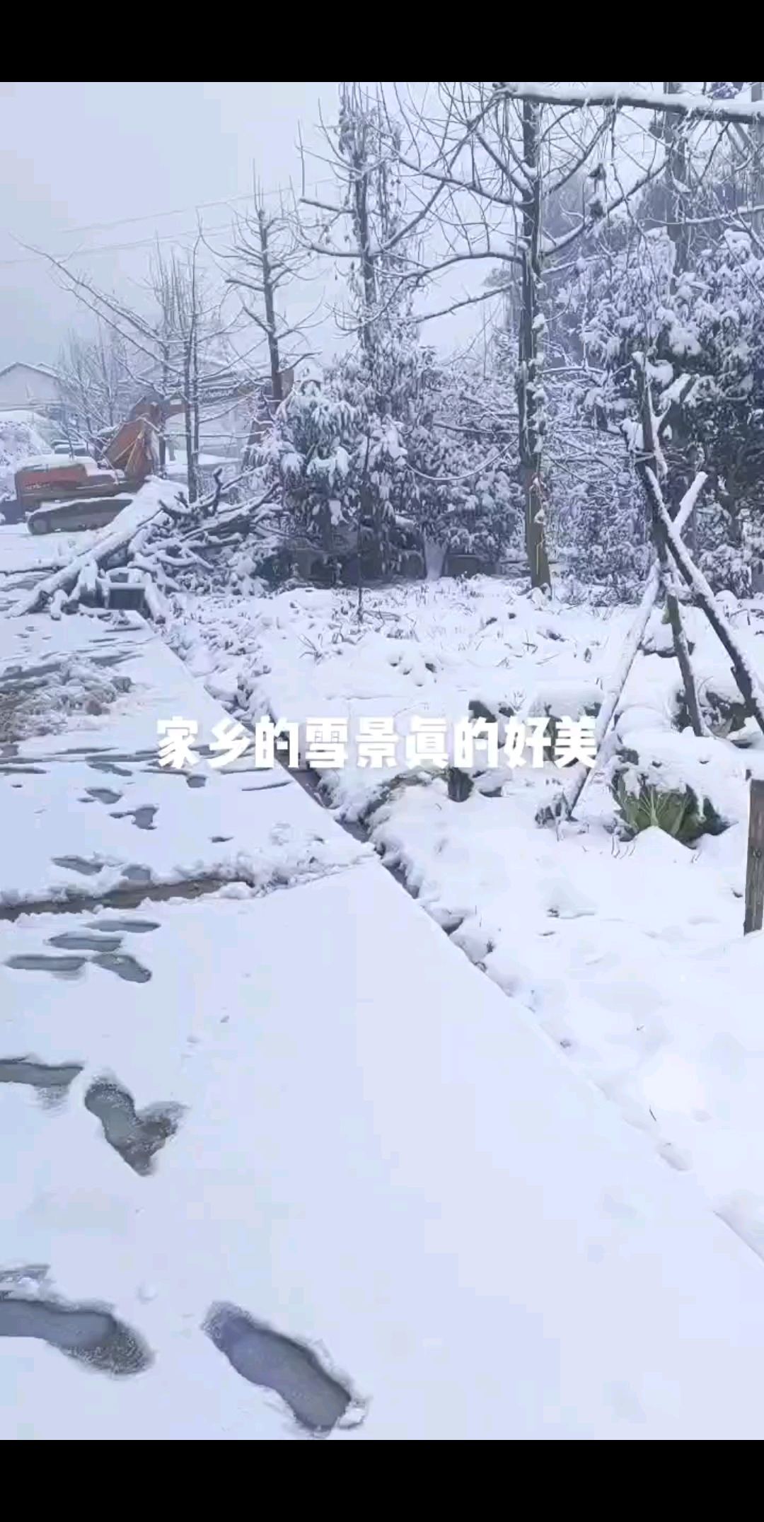 家鄉雪景真的好美