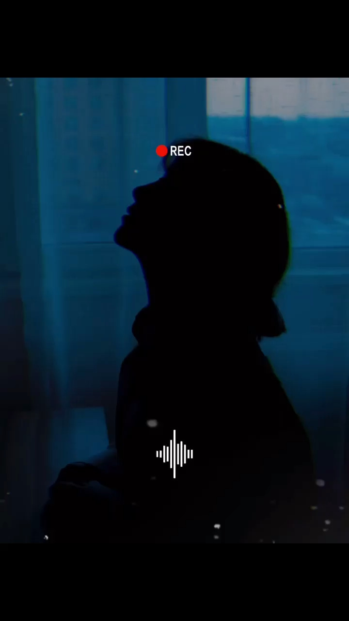 💕总有人间一两风填我