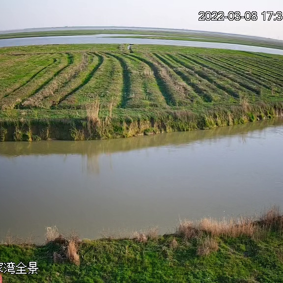 神经蛙3j4海报