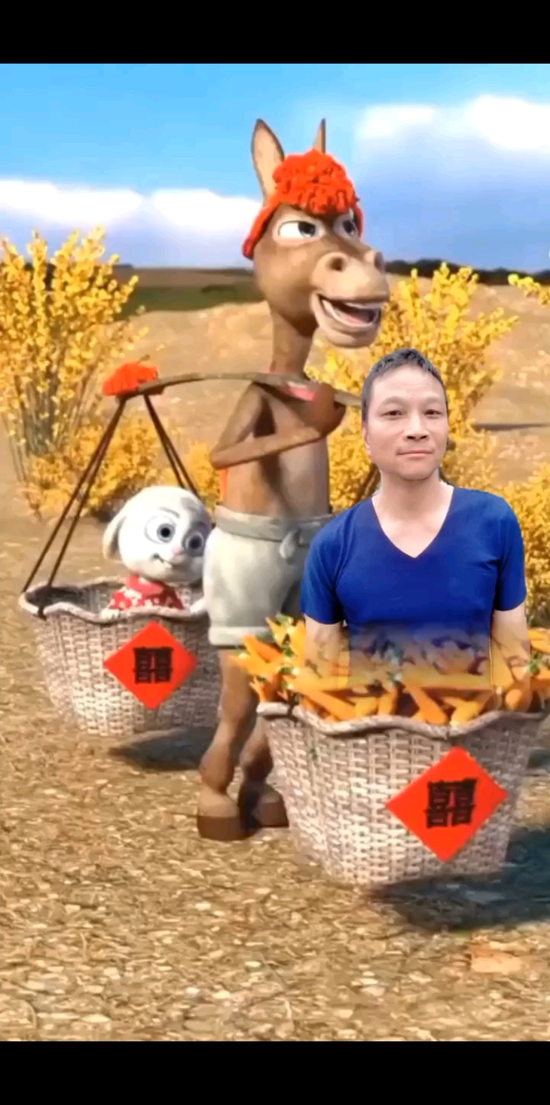这个视频漂亮吗😃😃😀😀