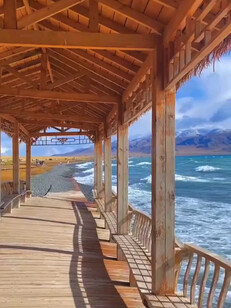 不必太长扬。是花自然