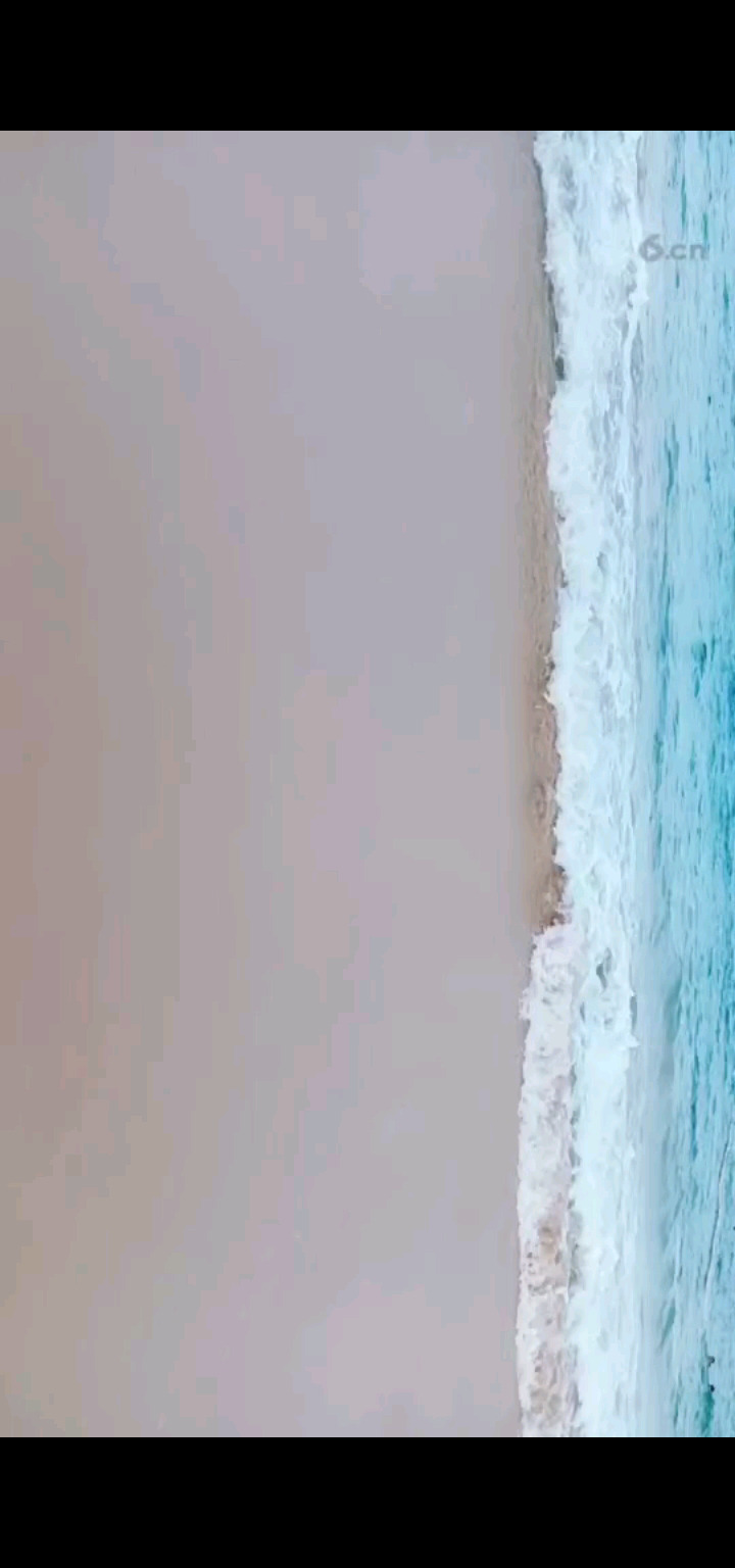 听听海浪的声音，吹吹